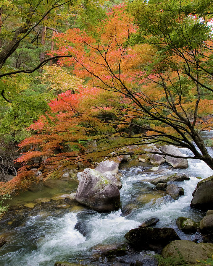 Autumn Scenery With Waterfall Photograph by Photo By Tim Jinam