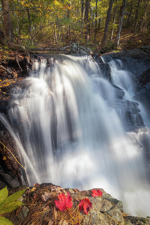 Autumn - Secret Waterfall 4 Photograph by Brian Hale