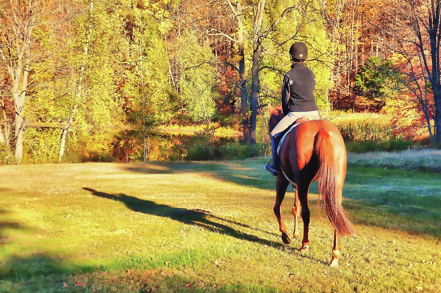 Horse Photograph - Autumn Shadows by JAMART Photography