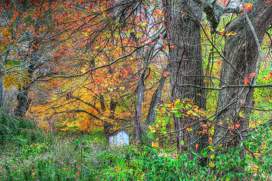 Tree Photograph - Autumn Shed by Robert Goldwitz
