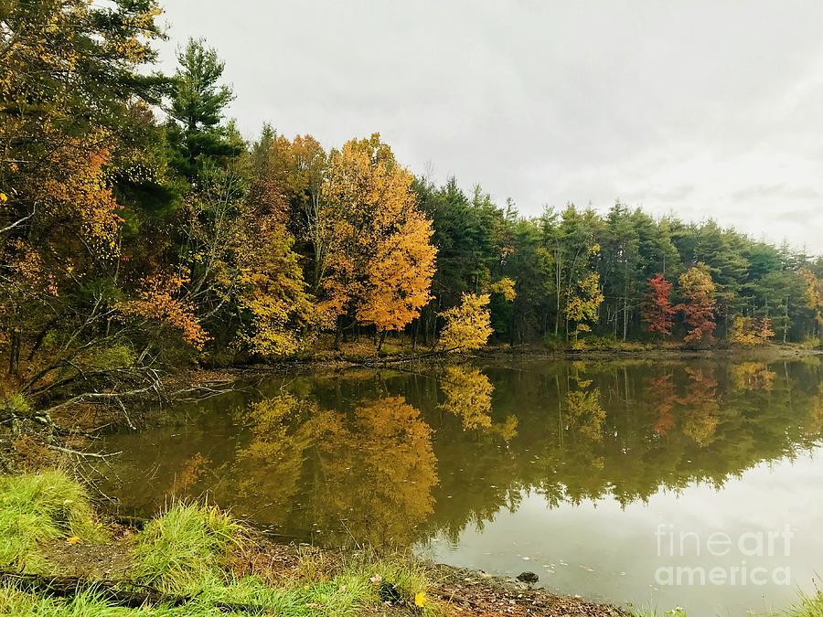 Autumn Shore Line Photograph by Michael Krek