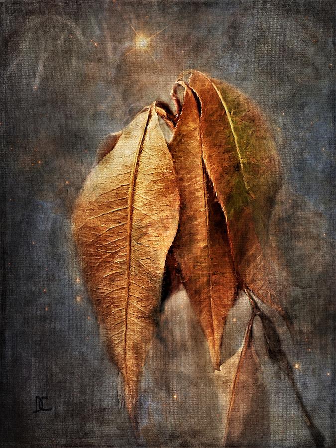 Autumn Slumber Photograph by Diane Chandler