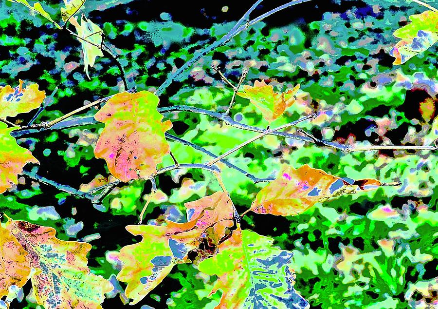 Autumn Sonata In Leaves Mixed Media by Alida M Haslett