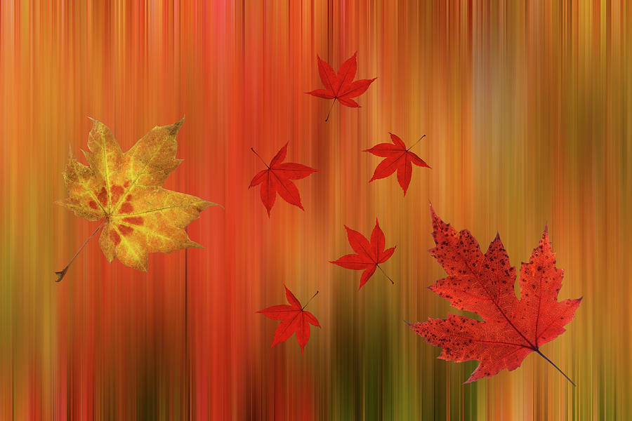 Autumn Spirit Photograph by Gill Billington