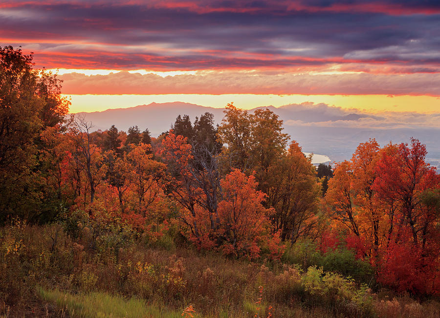Provo Photograph - Autumn Splendor in the Wasatch Front by Wasatch Light