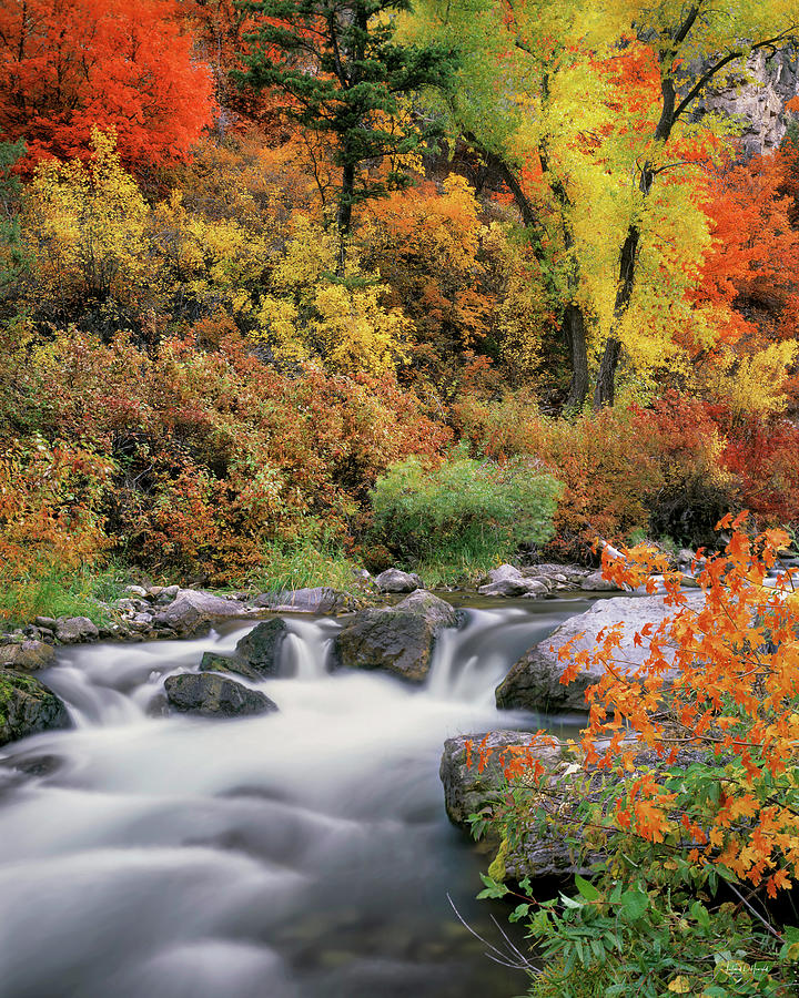 Fall Photograph - Autumn Splendor by Leland D Howard