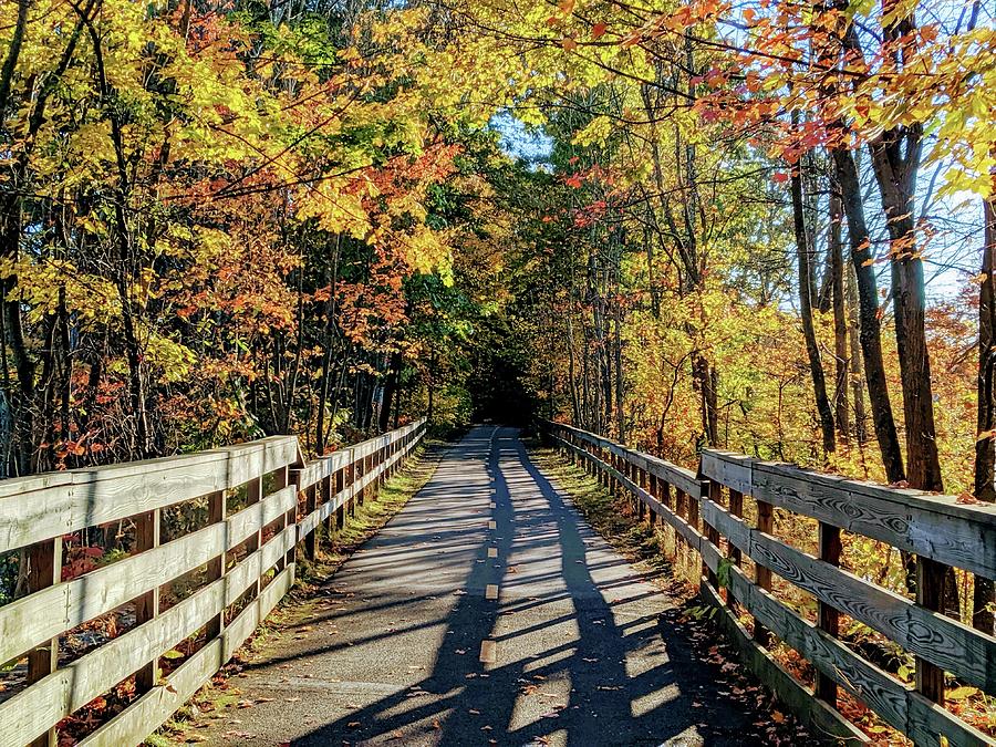 Autumnal Splendor On The Manhan Rail Trail Photograph by Justin Johnson ...