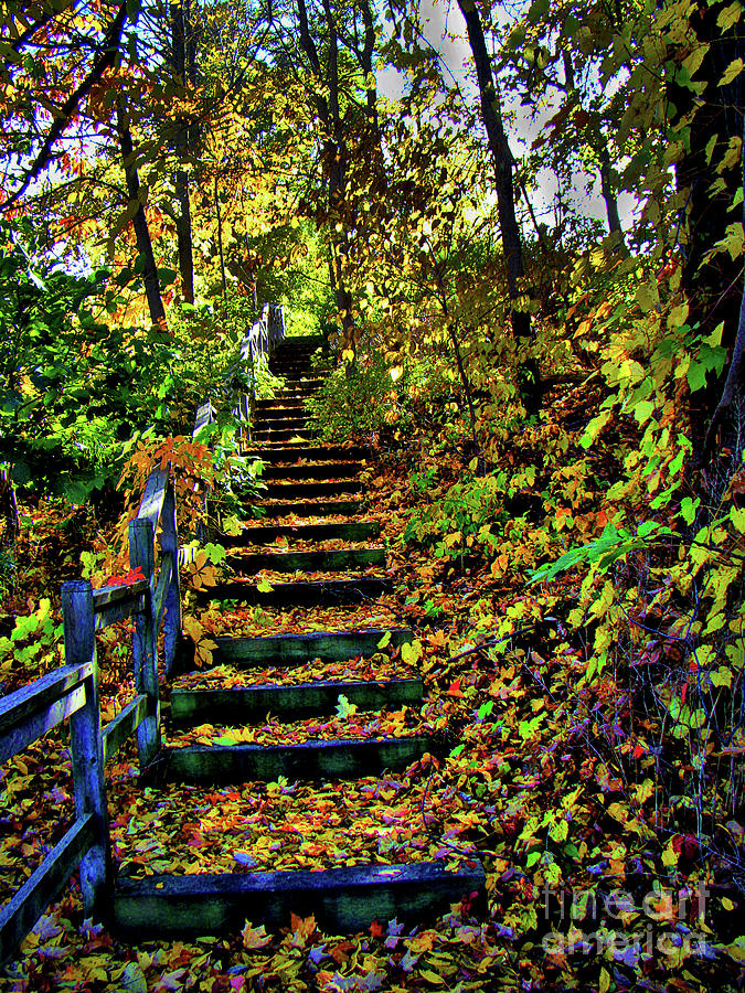 Fall Photograph - Autumn Splendour In Ontario III by Al Bourassa