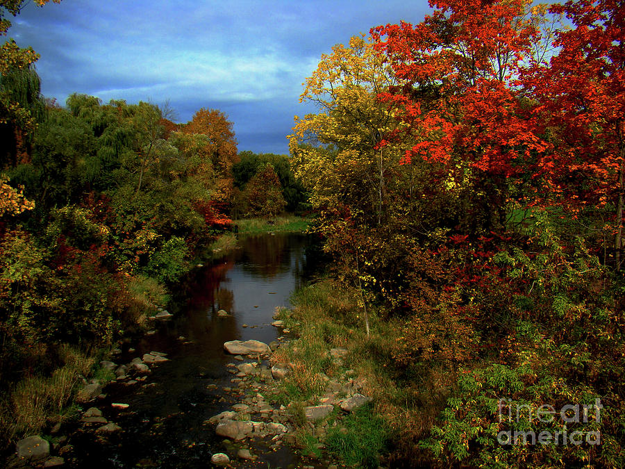Fall Photograph - Autumn Splendour In Ontario V by Al Bourassa