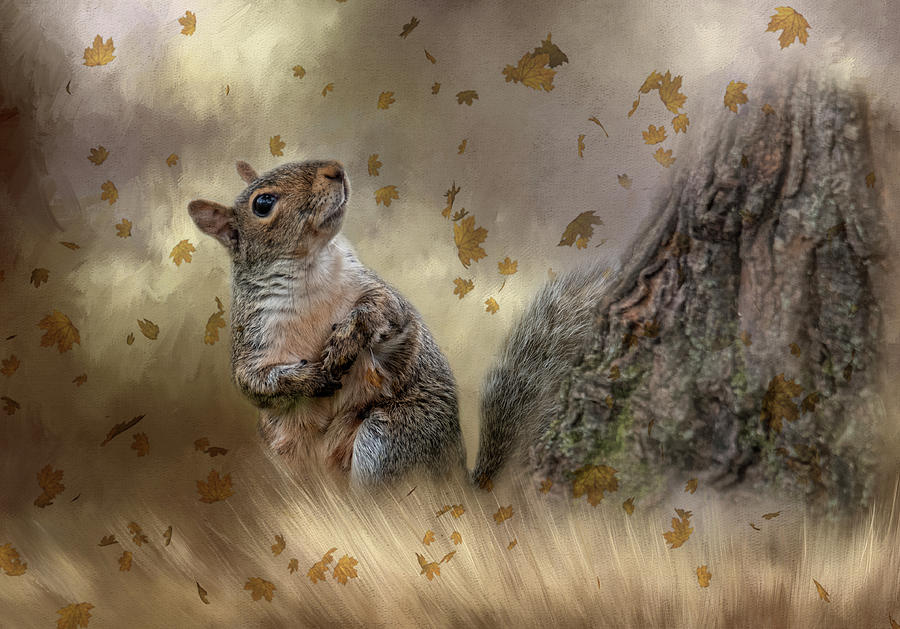 Autumn Squirrel by Kelley Parker Autumn Squirrel by Kelley Parker