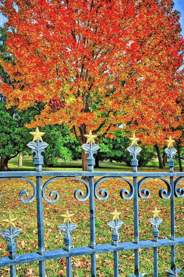 Autumn Stars and Bars at the Texas Capital Photograph by Lynn Bauer