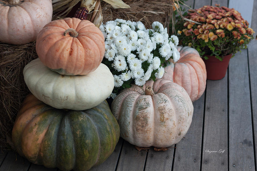 Autumn Still Life I Photograph by Suzanne Gaff