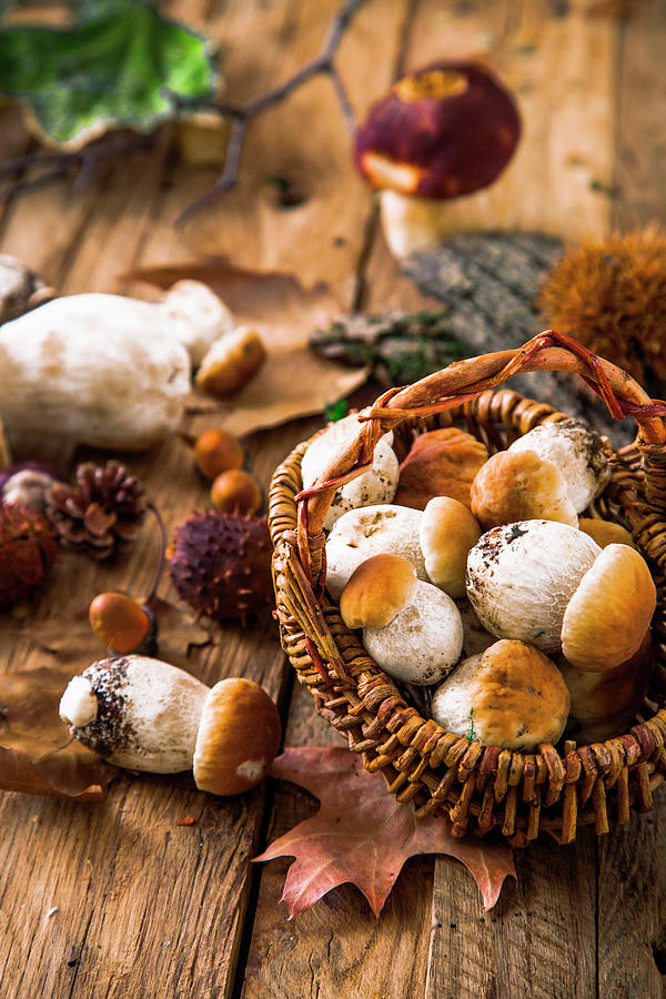 Autumn Still Life With Mushrooms Photograph by Mythja