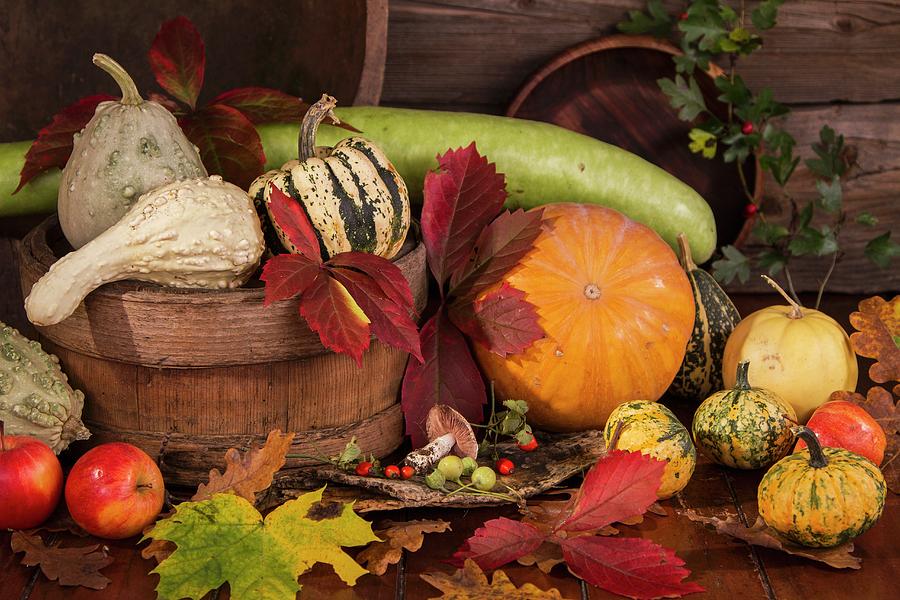 Autumn Still Life With Pumpkins, Gourds And Corn Photograph by Monika Halmos