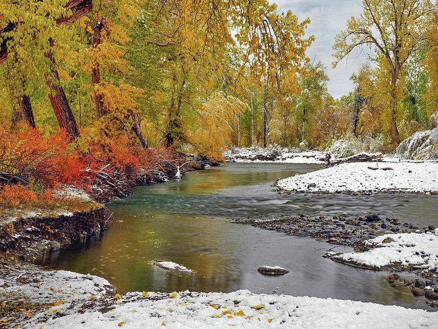 Big Wood River Autumn, Central Idaho Photograph by Leland D Howard