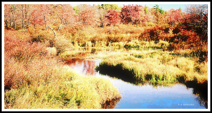 Autumn Stream Photograph by A Macarthur Gurmankin