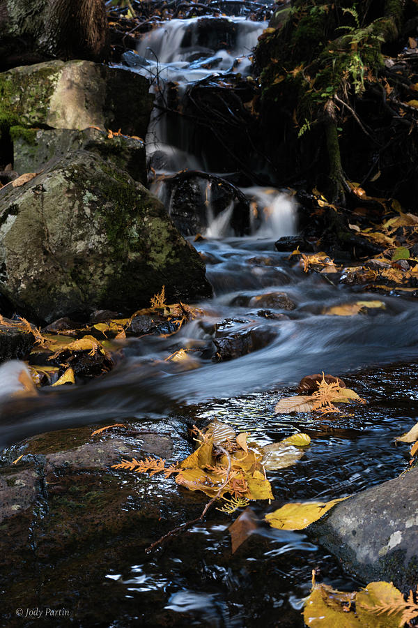 Autumn Stream Photograph by Jody Partin