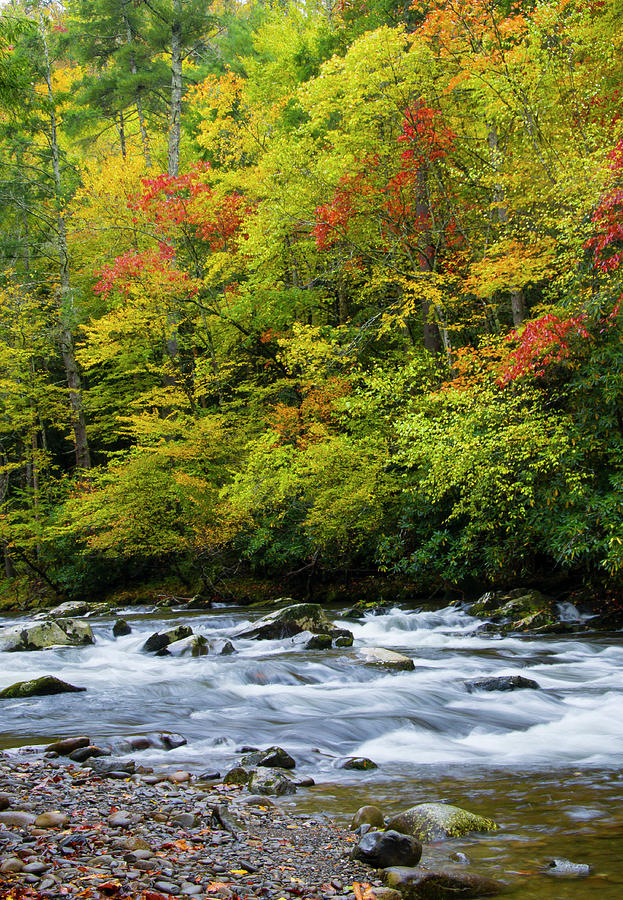 Autumn Stream Photograph by Larry Bohlin