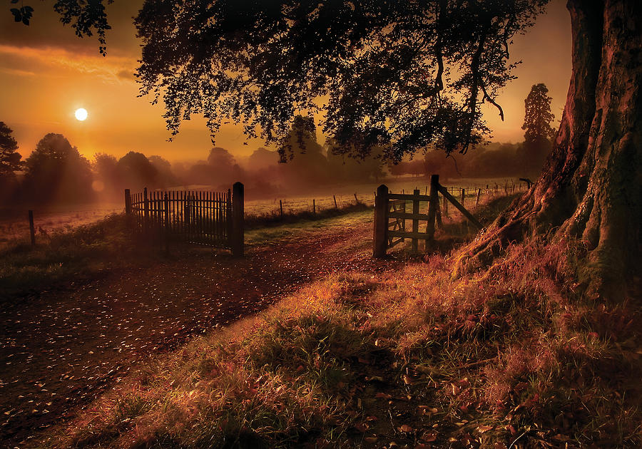Autumn Sunrise Photograph by Gary Mcparland