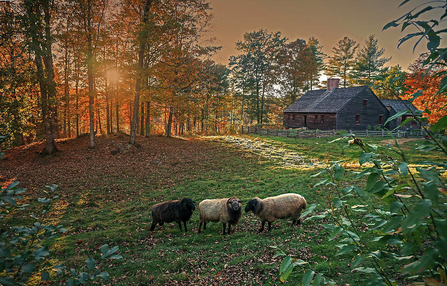 Autumn Sunset at the Old Farm by Wayne Marshall Chase Autumn Sunset at the Old Farm by Wayne Marshall Chase