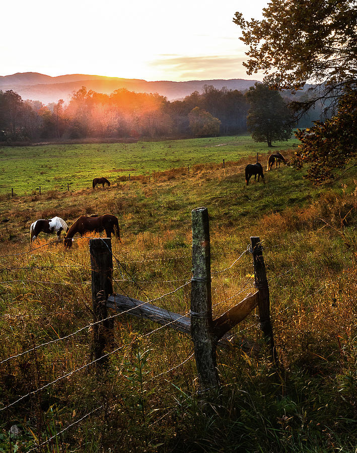Autumn Sunset by Douglas Tate Autumn Sunset by Douglas Tate