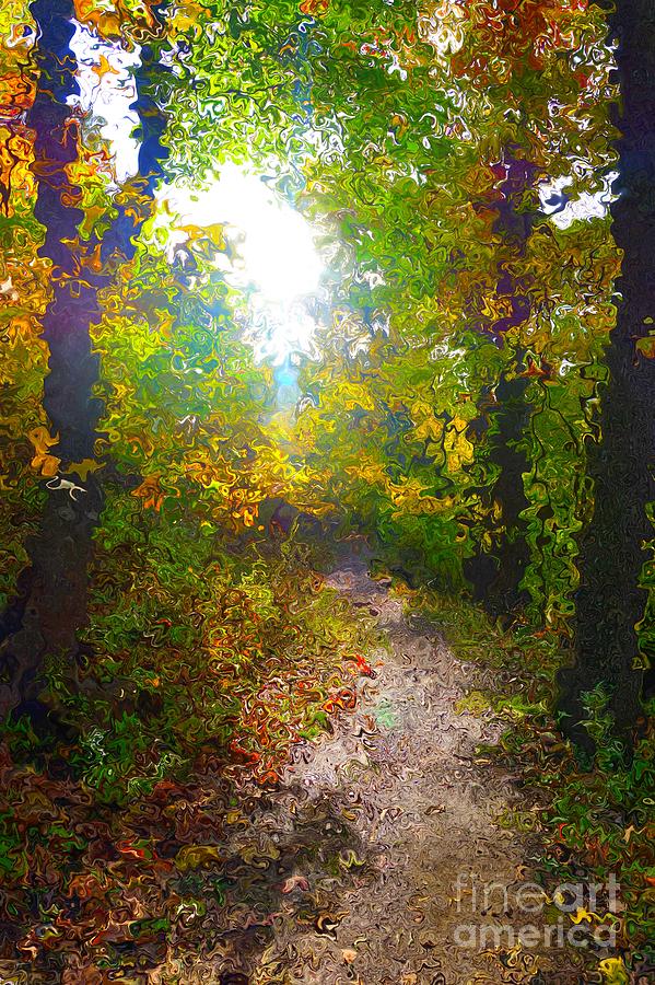 Autumn Sunshine in Van Gogh Style by Christopher Shellhammer Autumn Sunshine in Van Gogh Style by Christopher Shellhammer