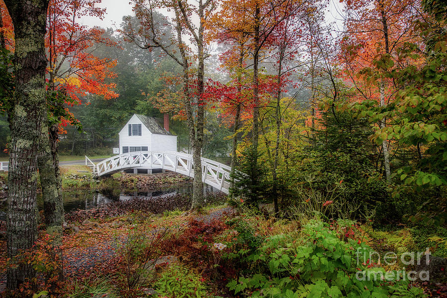 Autumn by Susan Garver Autumn by Susan Garver