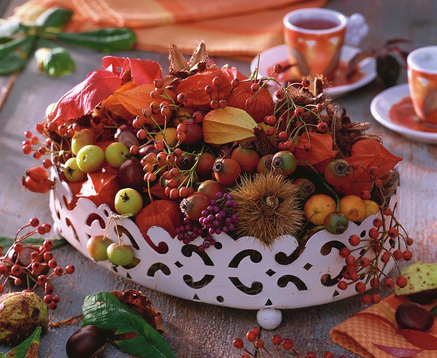 Autumn Table Decoration: Bowl Of Rose Hips, Crab Apples Etc. Photograph by Friedrich Strauss