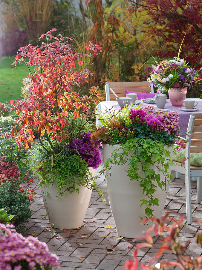 Autumn Terrace With Seating Place And Planted Tubs Photograph by Friedrich Strauss