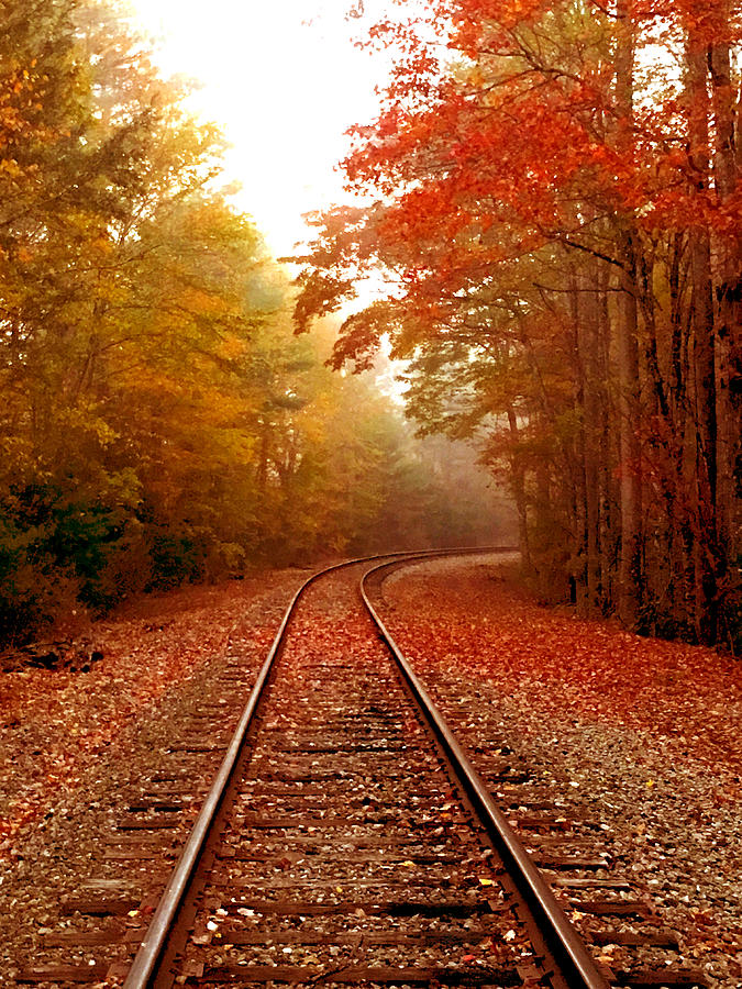 Autumn Tracks Photograph by Kelly Kennon