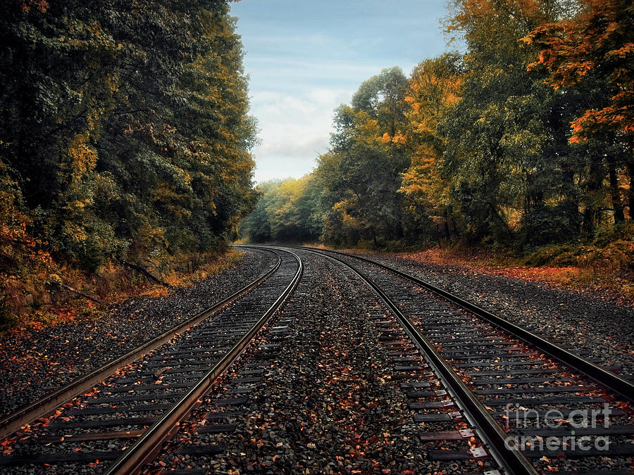 Autumn Tracks Photograph by Mark Miller
