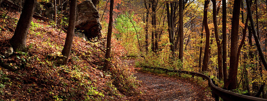 Autumn Trail Panorama  Photograph by Lisa Lambert-Shank