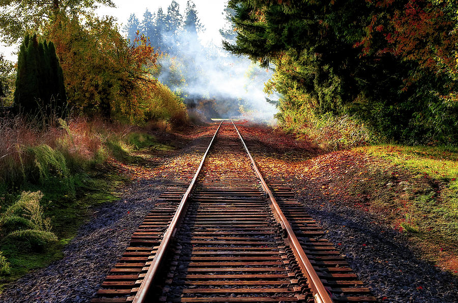 Autumn Train Tracks II Photograph by Athena Mckinzie