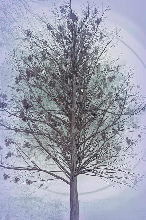 Autumn Tree in Cool Grays Digital Art by Debra and Dave Vanderlaan