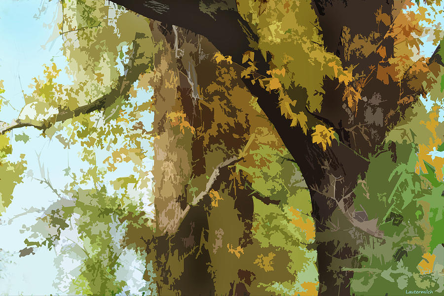 Autumn Trees 8 Digital Art by John Lautermilch