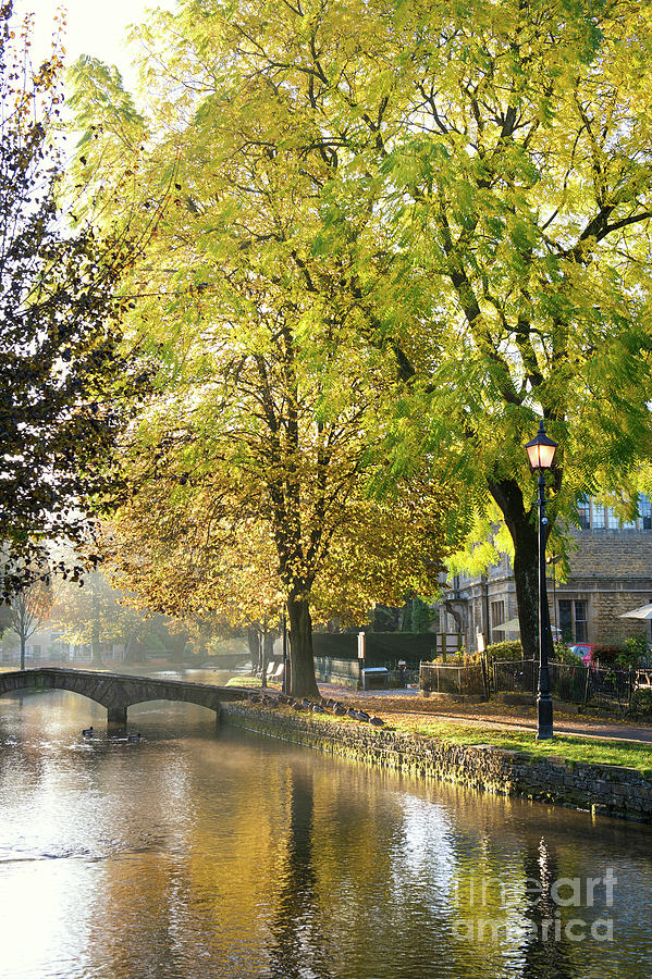 Autumn Trees in Bouton on the Water by Tim Gainey Autumn Trees in Bouton on the Water by Tim Gainey