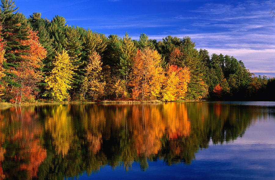 Autumn Trees In New Hampshire,new Photograph by Lonely Planet Autumn Trees In New Hampshire,new Photograph by Lonely Planet