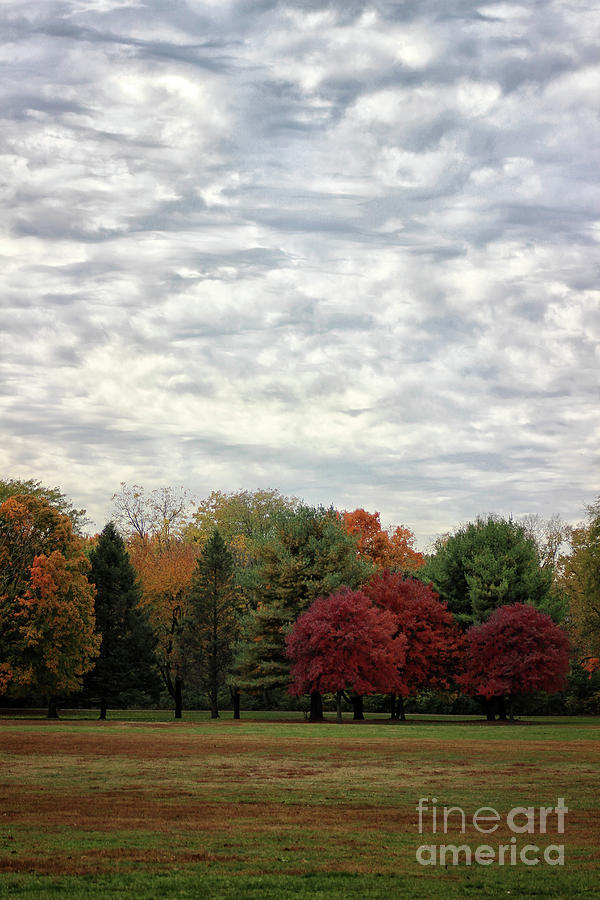 Autumn Trees in Ohio Photograph by Karen Adams