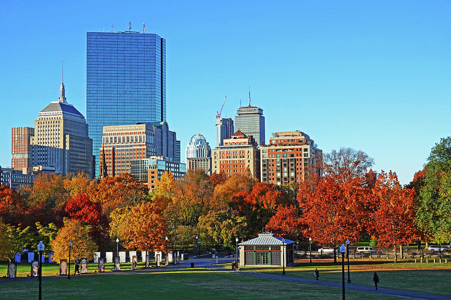 Autumn Trees in the Boston Common Blue Sky Boston MA Photograph by Toby McGuire