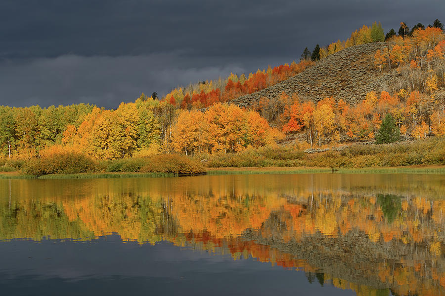 Autumn Trees on the Oxbow of the Snake River Photograph by Kathleen Bishop