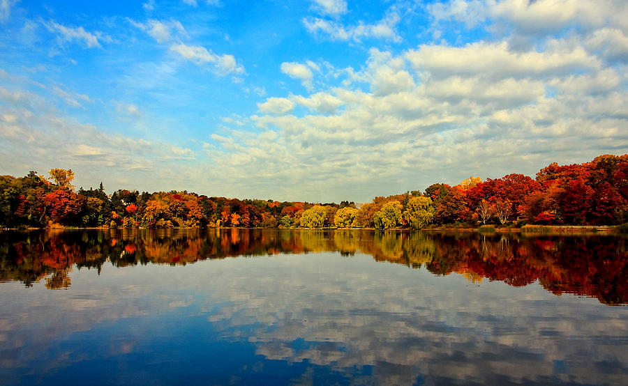 Nature Photograph - Autumn Trees Reflection by This Image Is Copy