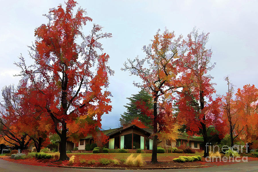 Autumn Trees Surround Home in Northern California  Photograph by Chuck Kuhn