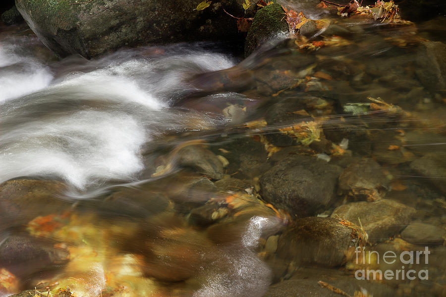Fall Photograph - Autumn Tributary by Mike Eingle