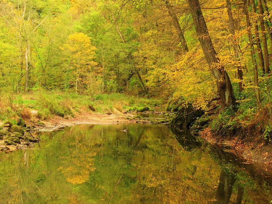 Autumn Trout Stream  Photograph by Lori Frisch