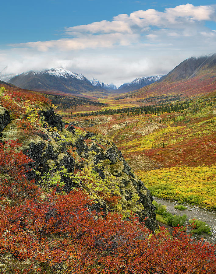 Autumn Tundra, Tombstone Range, Tombstone Territorial Park, Yukon Photograph by Tim Fitzharris Autumn Tundra, Tombstone Range, Tombstone Territorial Park, Yukon Photograph by Tim Fitzharris