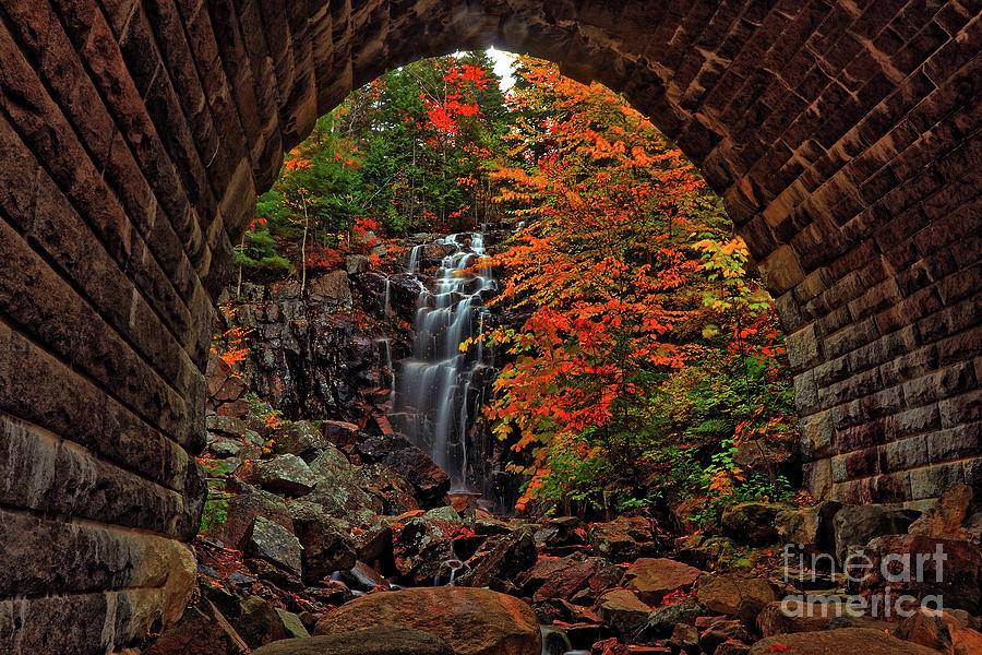 Autumn Tunnel Vision Photograph by Scott Mahon