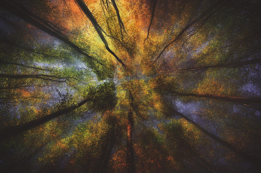 Autumn Vibes Photograph by Grzegorz Lewandowski