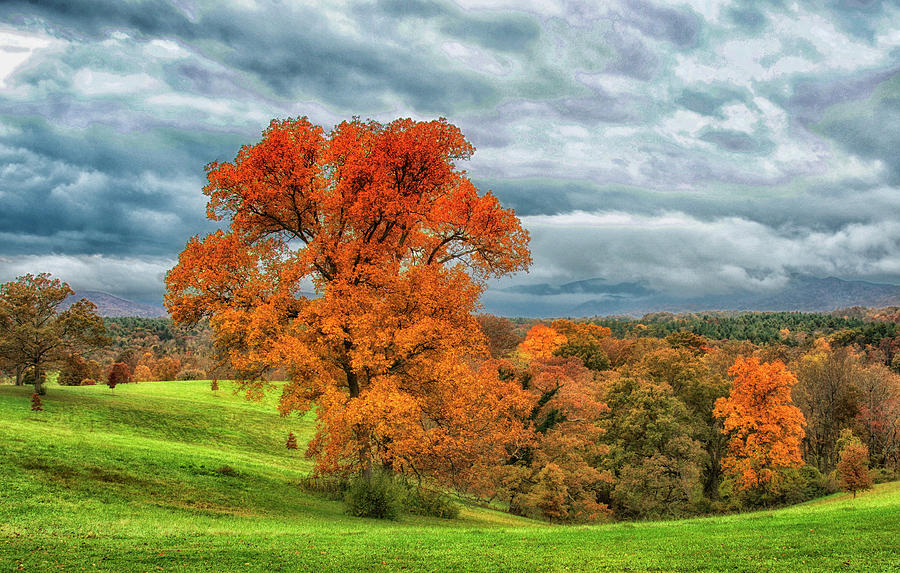 Autumn View Photograph by Blaine Owens