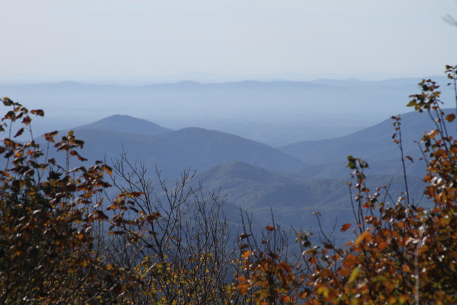 Mountain Photograph - Autumn View From Grandfather Mountain by Cathy Lindsey