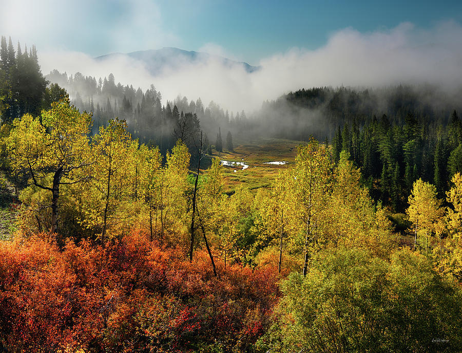 Autumn View Photograph by Leland D Howard